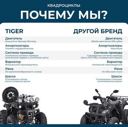 Квадроцикл TIGER Max Grade 300