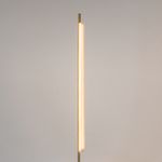 Напольный светильник (торшер) Maytoni MOD258FL-L15BS3K