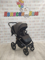 Коляска модульная Rant Flex Soft Therm Shine Brown