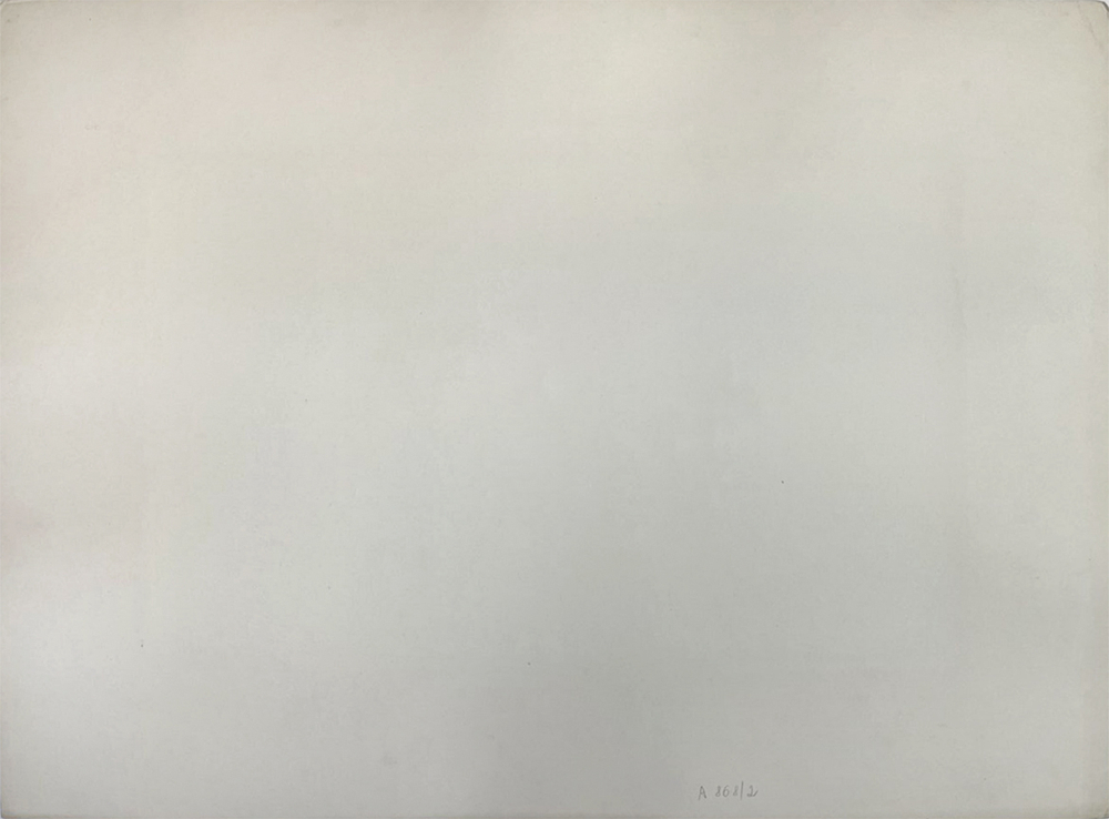 Н. Н. Каразин (1842–1908)  Сражение под Чандыром 16 июня 1873 года. Литография. 1880-е.