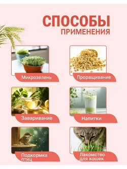 Ячмень для проращивания 5 кг