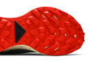Кроссовки Nike Pegasus Trail 2 Gore-Tex