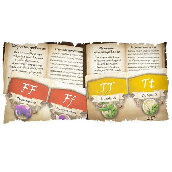 Настольная игра Генотип. Игра о генетике Менделя