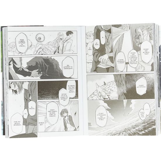 Невеста чародея. Том 4