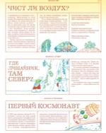 Мико. Полный путеводитель по миру грибов