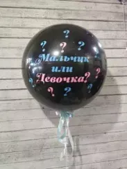 Шар на определение пола №2