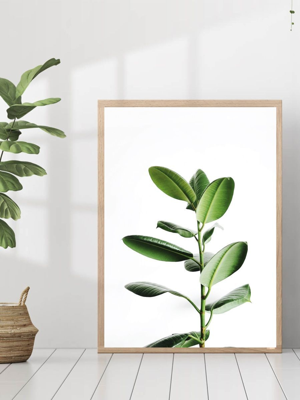 Набор постеров 30х40 растения 3 шт арт 156985535 ТТН 246259067