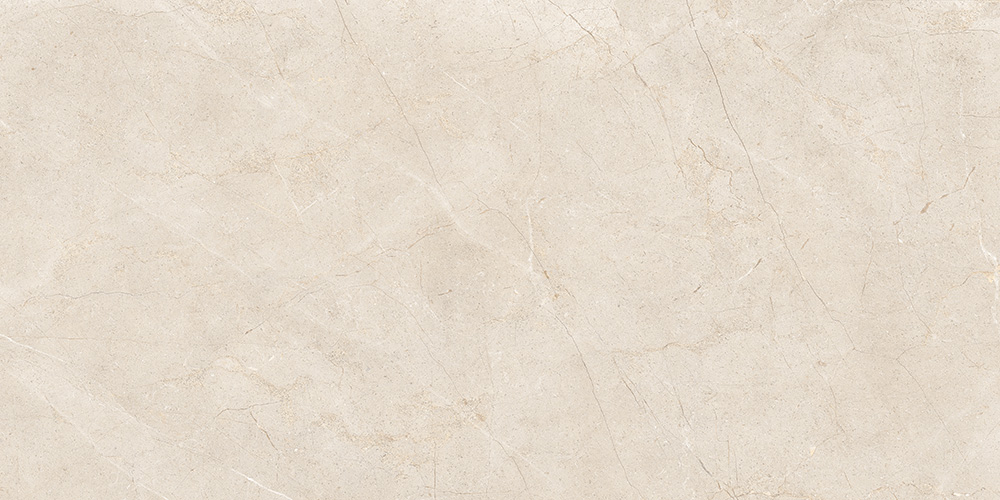 60x120 MoonLight Греж Матовый R10A Ректификат