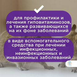 Поливитамины "Шустрик" для грызунов, раствор для орального применения, 20 мл. Витамин А.
