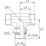 Штуцер FRTG DS10 BSP 3/8 (корпус)