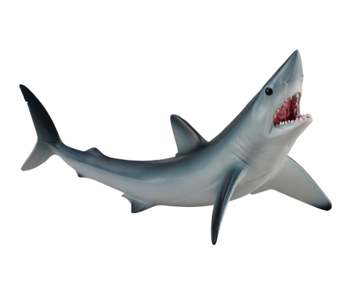 Акула Мако, средняя