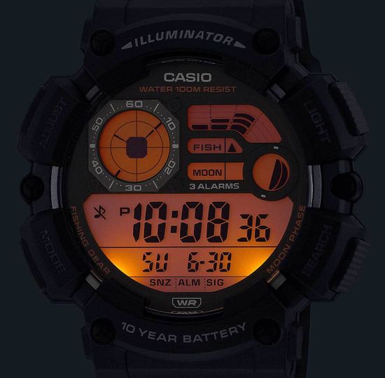 Наручные часы Casio WS-1500H-2AVEF