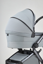 Детская коляска Anex l/type 2 в 1 с аксессуарами frost