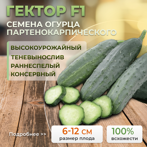 ГЕКТОР F1 семена огурца Nunhems семена