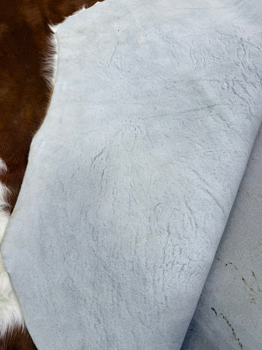 Коровья шкура на пол натуральная.