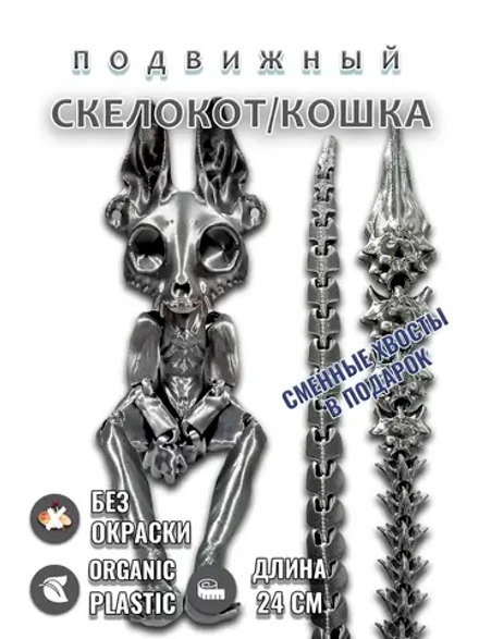 Скелет Кошки