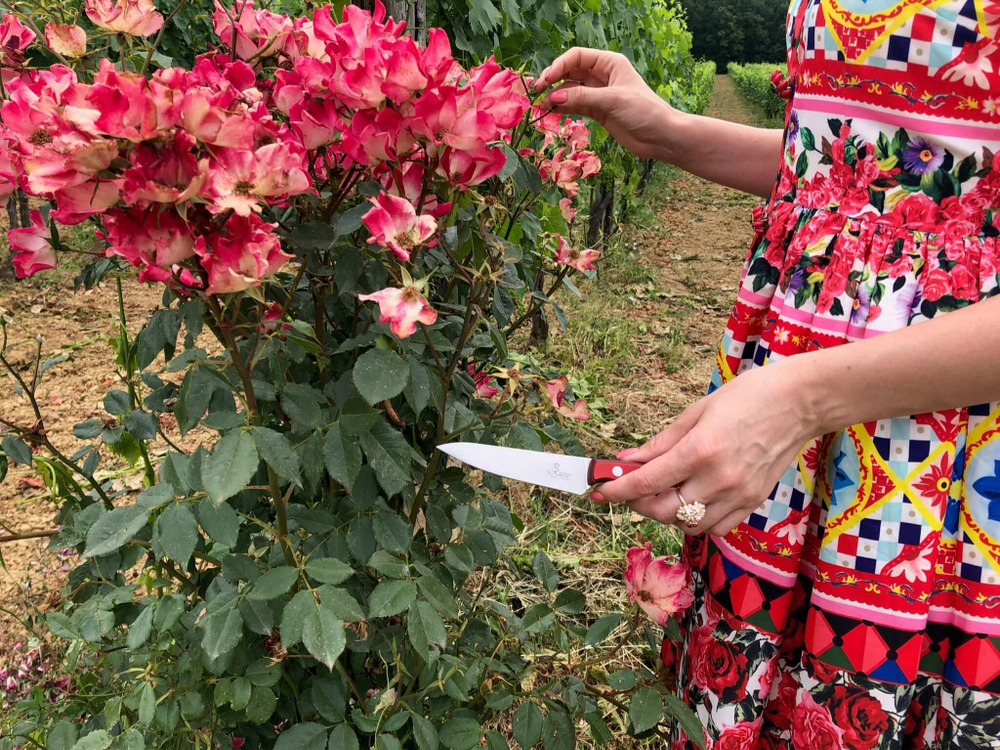 🏆Кухонный нож Alexander S AUS-8 Red G10