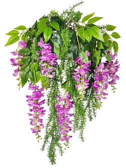 Цветущие растения в подвесном кашпо