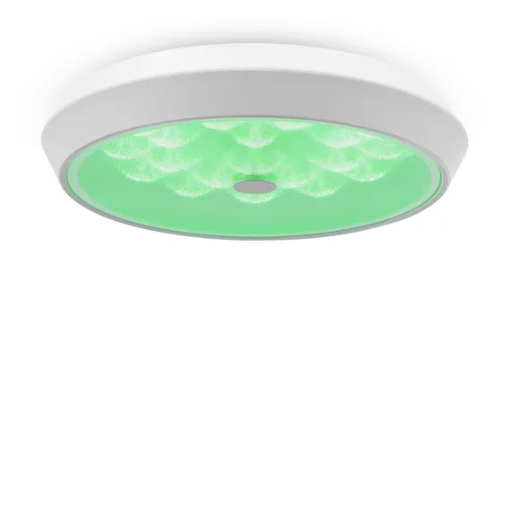 Потолочный светильник Элементы / Cells Freya fr10012cl-l24w