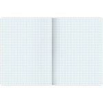 Тетрадь А4, 48 л., BRAUBERG ЭКО, скоба, клетка, обложка картон, TRAVEL, 404039, 3шт