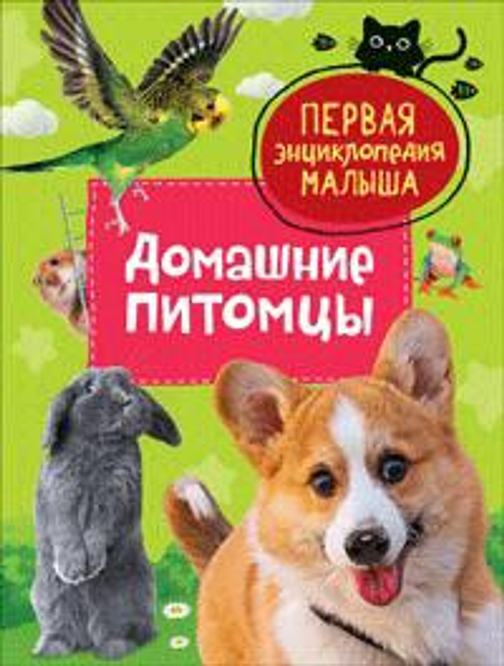 Домашние питомцы. Первая энциклопедия малыша