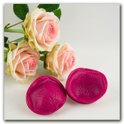 Лепестки розы Аваланж