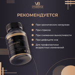 VITABRIDGE | ТЕСТОФОРС