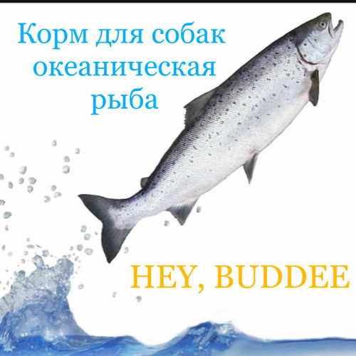 HEY, BUDDEE Корм сухой для взрослых собак   всех поро