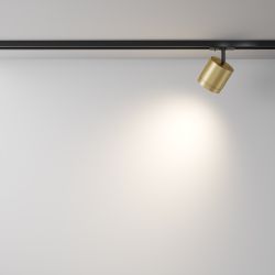 Трековый однофазный светильник Maytoni Unity   TR088-1-GX53-MG