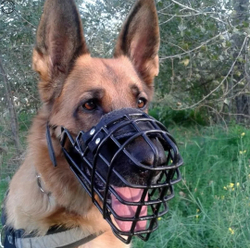 Намордник металлический обливной комфорт от Fordogtrainers