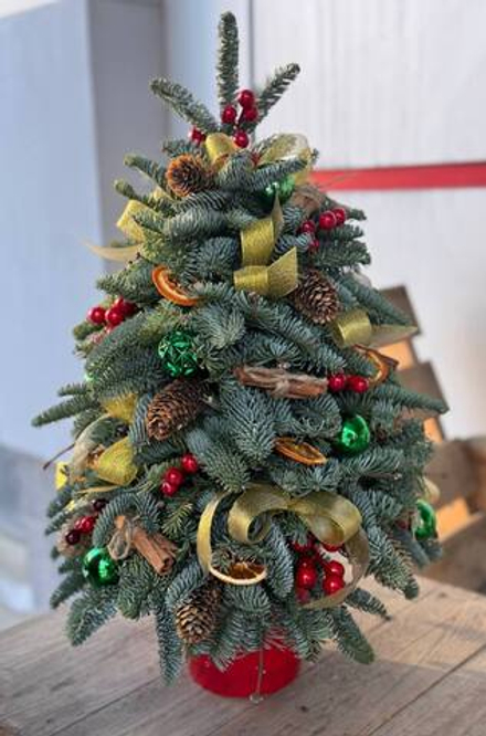 Новогодняя "Ёлочка"