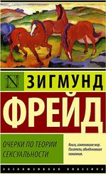 Очерки по теории сексуальности