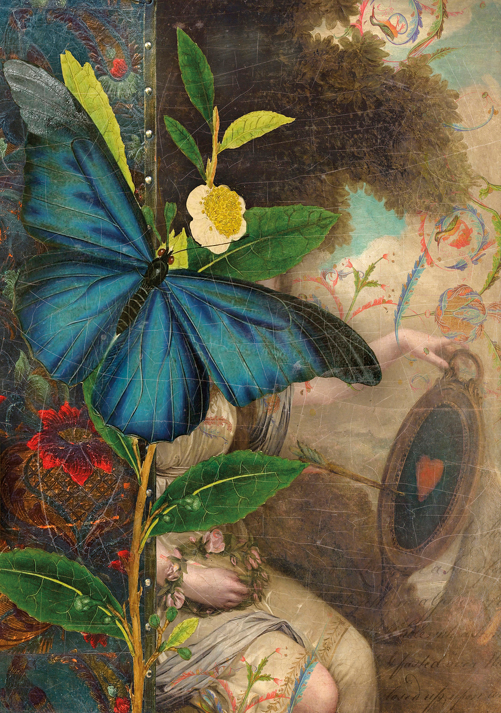 Коллекция Животные