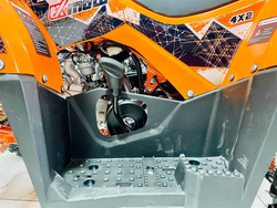 Квадроцикл FXMOTO HORNET 125