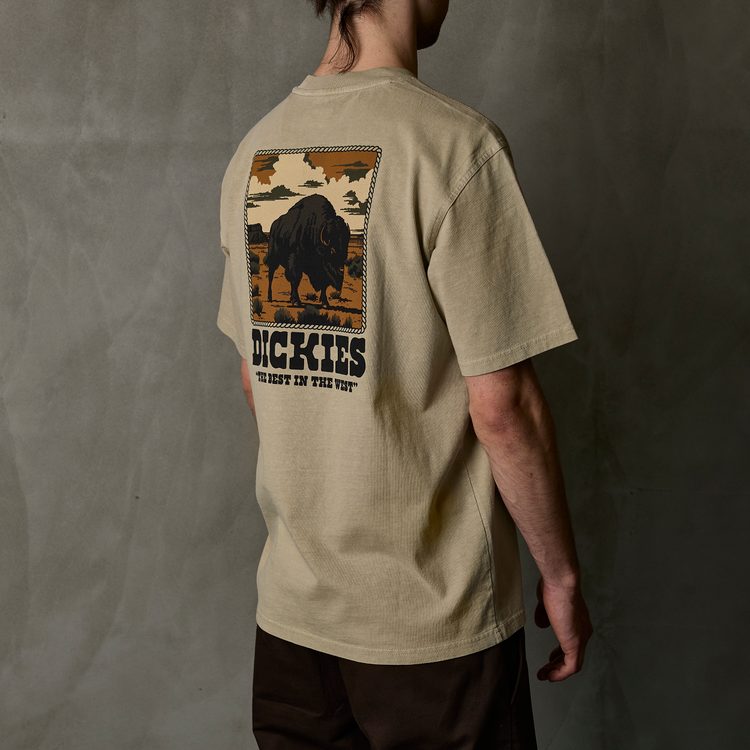 Футболка мужская Dickies Darrtown Short Sleeve Tee 