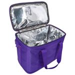 Термосумка 151