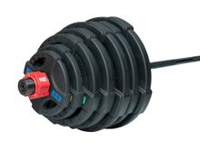 Штанга олимпийская 215 кг (диски с двумя хватами, черный гриф)