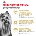 Royal Canin Yorkshire Terrier Adult Корм сухой для взрослых собак породы Йоркширский терьер от 10 месяцев 3 кг
