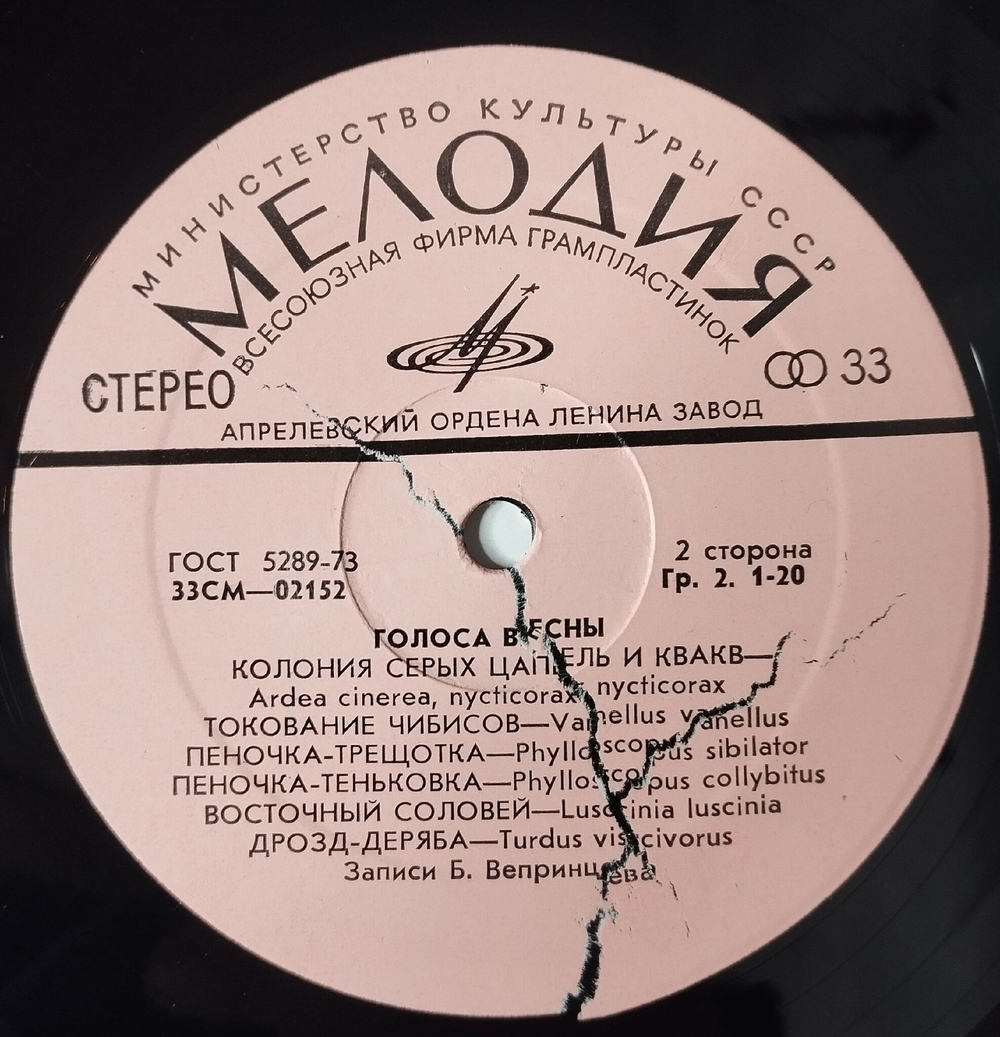 Винтажная виниловая пластинка LP Пение Птиц Голоса Весны Voices Of Spring (СССР 1979)