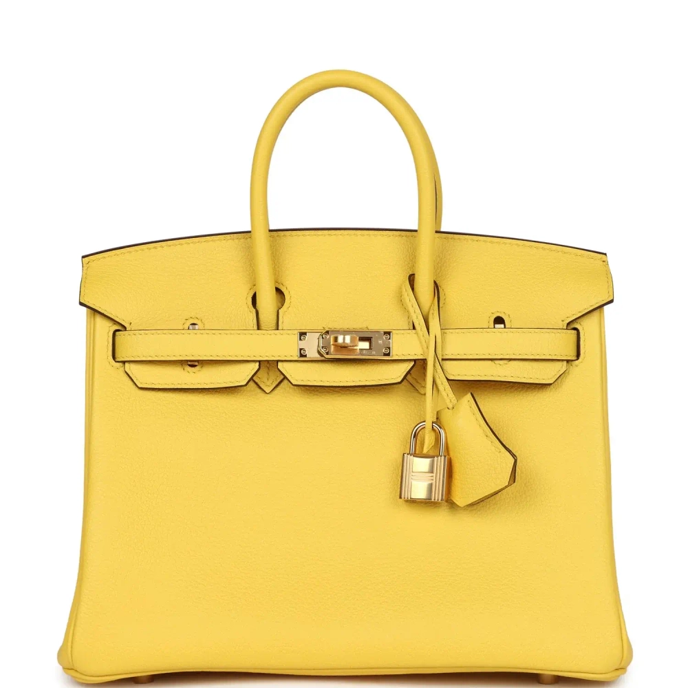 Сумка из коллекции D с золотой фурнитурой Hermès Birkin
