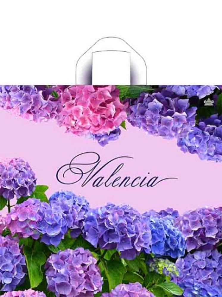 Пакеты с петлевой ручкой &quot;Валенсия&quot; 44х42+6см 70мкм (50/300шт)