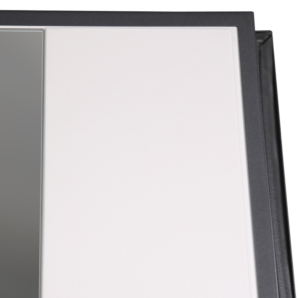 Стальная дверь "Бастион" с зеркалом. Заказная модель.