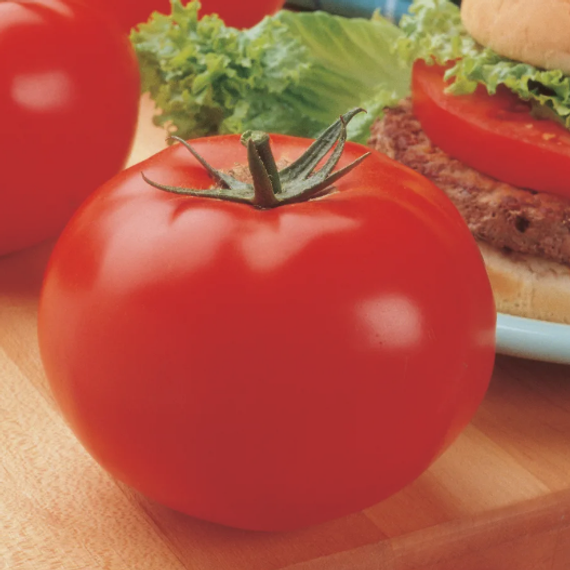 Биг Биф F1 семена томата индетерминантного продукт – фото 2