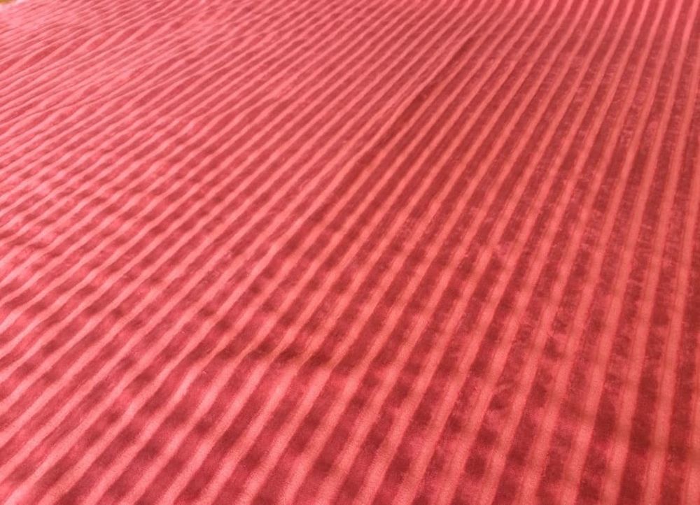 Велюр полоса красный