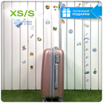 Ручная кладь King of King, Пудра, S