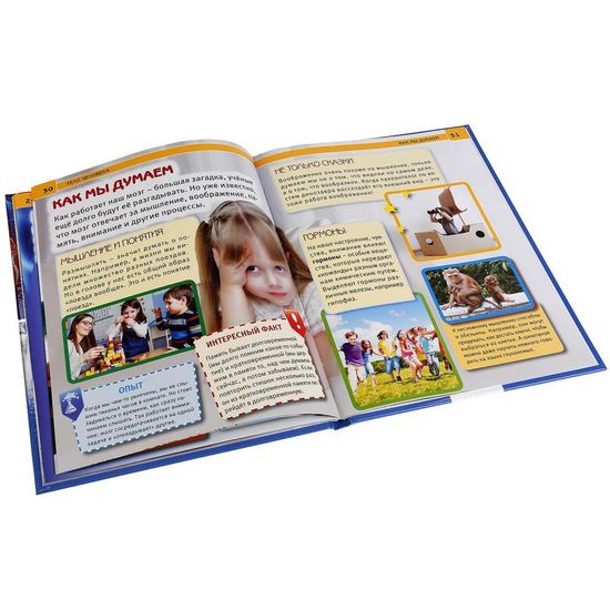 Энциклопедия А4 с развивающими заданиями. Тело человека. Тв. переплет. 48стр. Умка