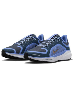 Кроссовки Nike Air Zoom Pegasus 41 Gore-Tex Cobalt