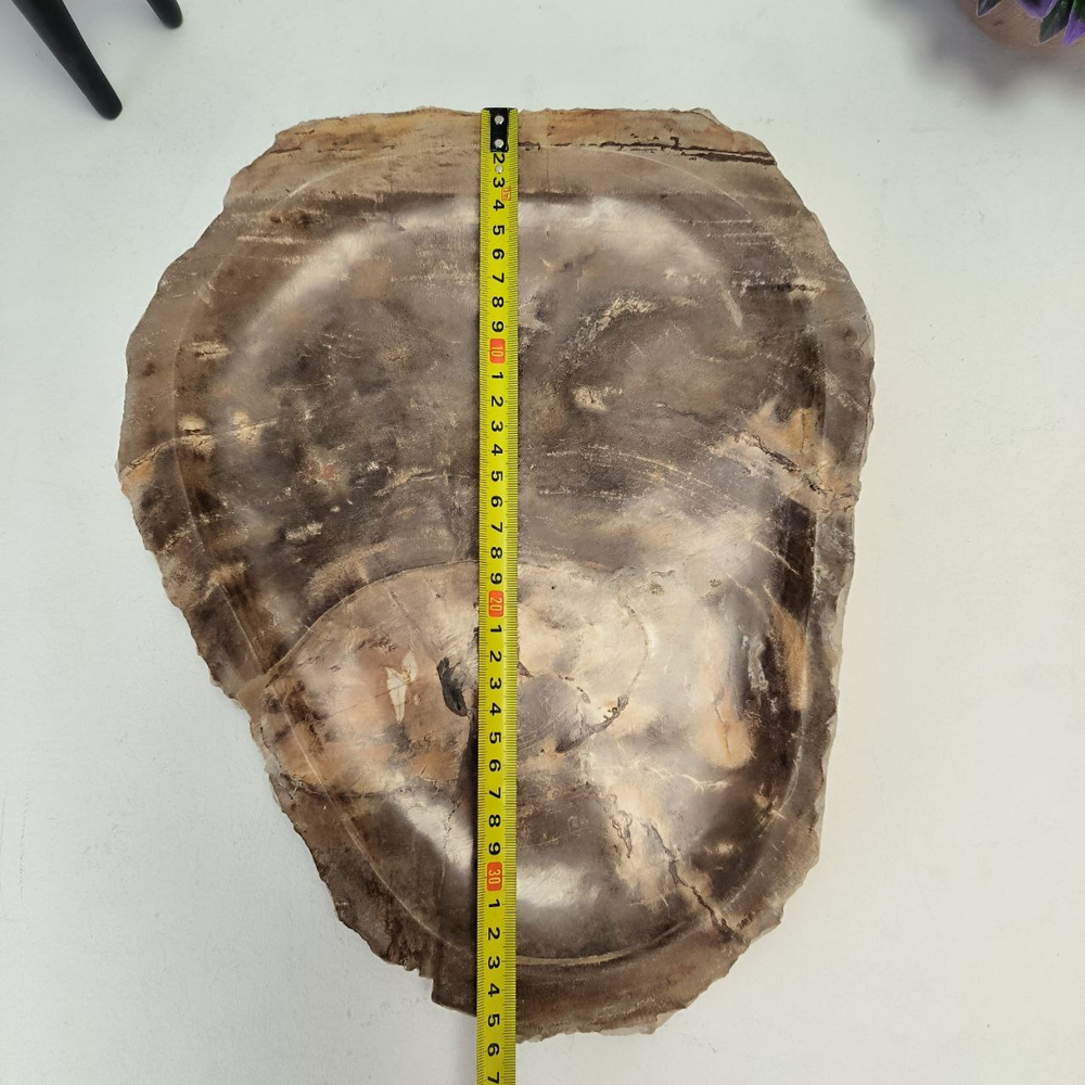 Набор из окаменелого дерева 4 предм Fossil Set NF-63074 поднос 29см*36см