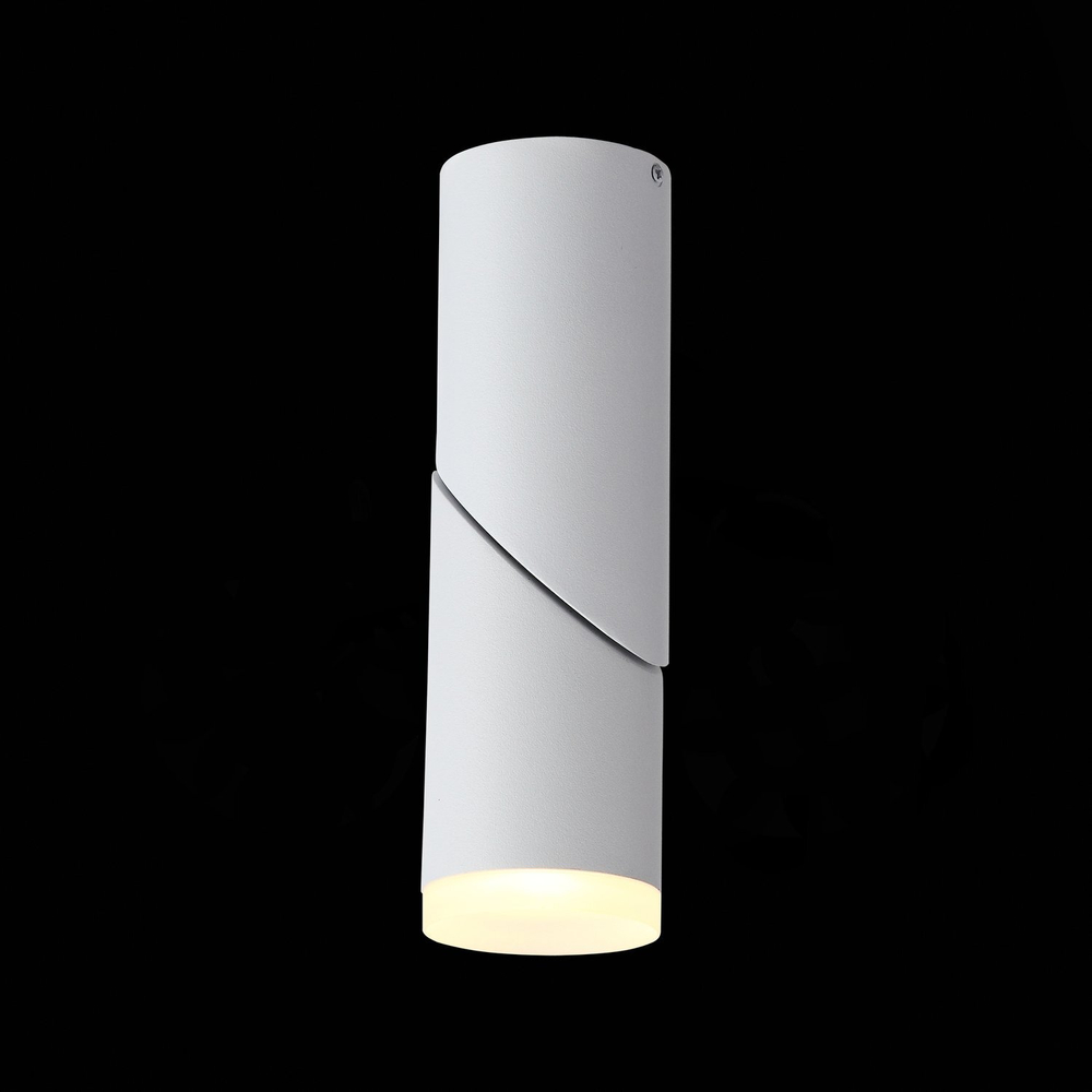 ST107.502.10 Светильник потолочный Белый LED 1*10W 3000K 780Lm Ra&gt;80  D50xH168 170-240V Накладные светильники