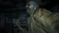 Resident Evil 7 biohazard (для ПК, цифровой код доступа)